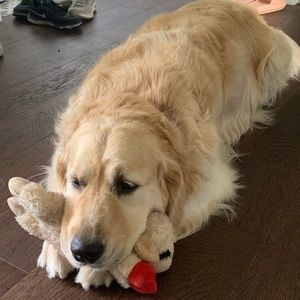 Meet your Posher, Thomas